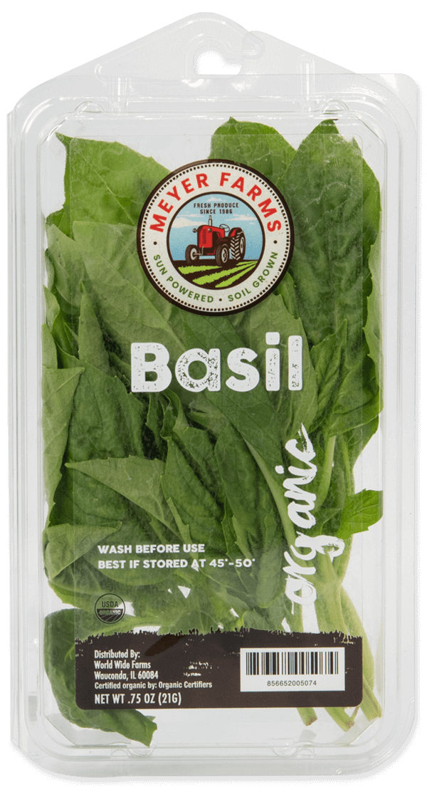 Basil