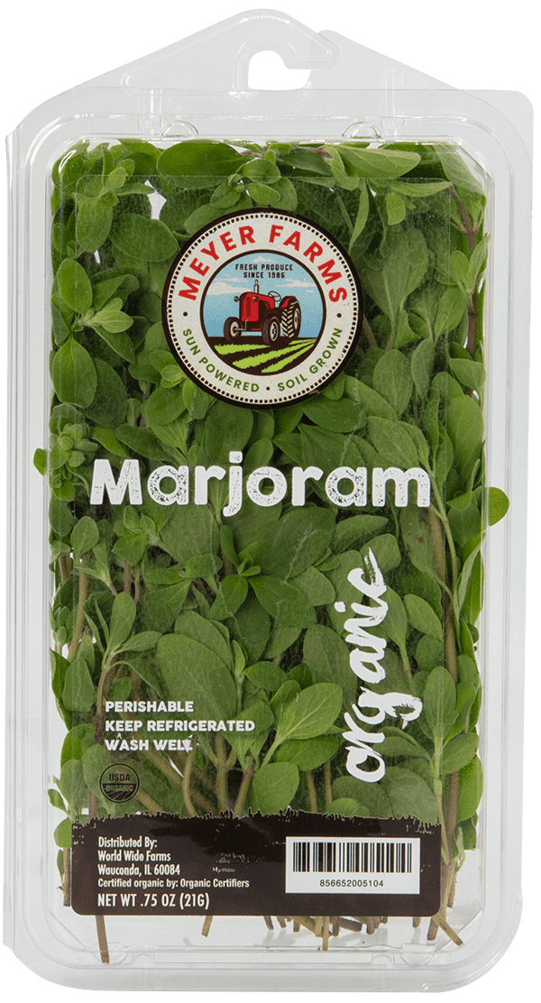 Marjoram