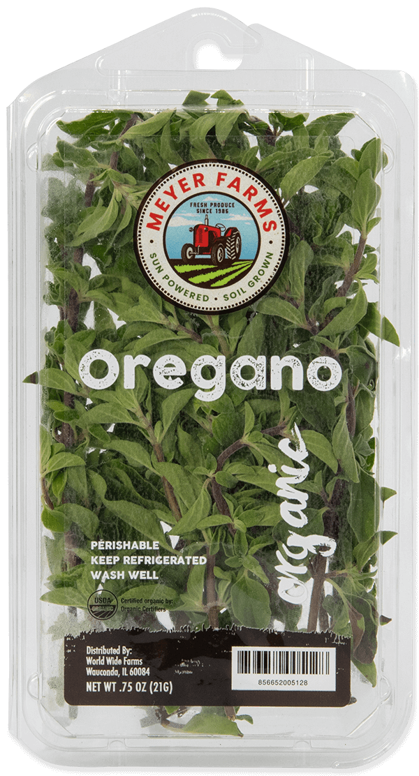 Oregano