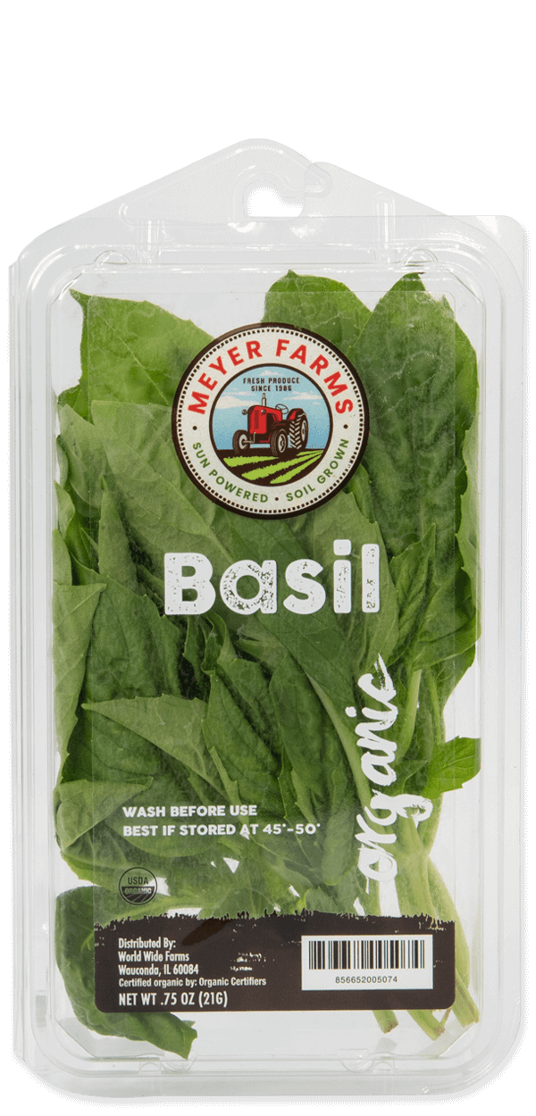 Basil